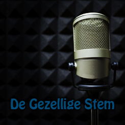 de-gezellige-stem